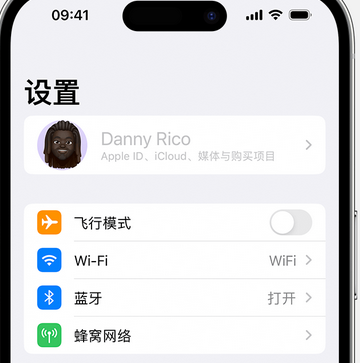 阿拉善左appleID维修服务iPhone设置中Apple ID显示为灰色无法使用 