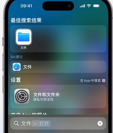 阿拉善左apple维修中心分享iPhone文件应用中存储和找到下载文件 