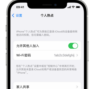 阿拉善左apple服务站点分享iPhone上个人热点丢失了怎么办 