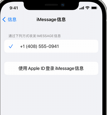 阿拉善左apple维修iPhone上无法正常发送iMessage信息 