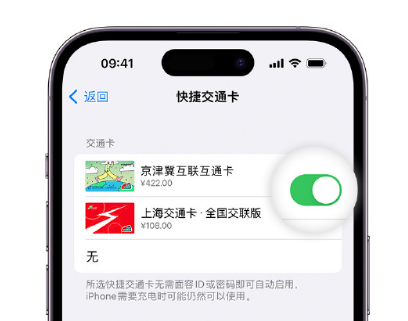 阿拉善左apple维修点分享iPhone上更换Apple Pay快捷交通卡手绘卡面 