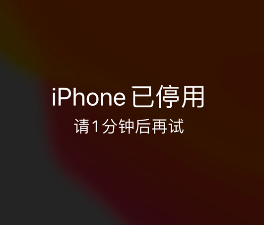 阿拉善左苹果手机维修分享:iPhone 显示“不可用”或“已停用”怎么办？还能保留数据吗？ 