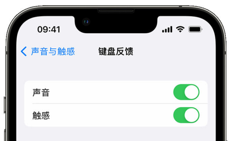 阿拉善左苹果手机维修分享iPhone 14触感键盘使用方法 