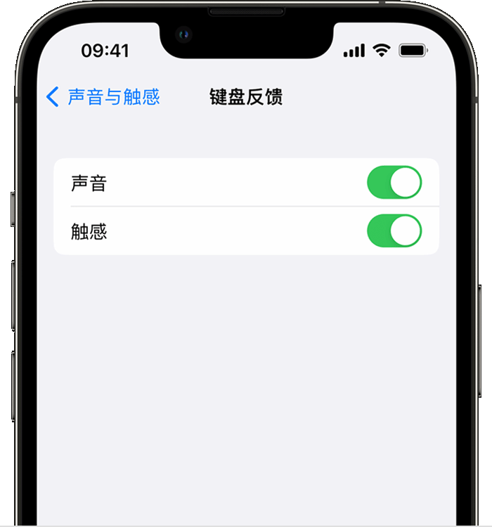 阿拉善左苹果14维修店分享如何在 iPhone 14 机型中使用触感键盘 