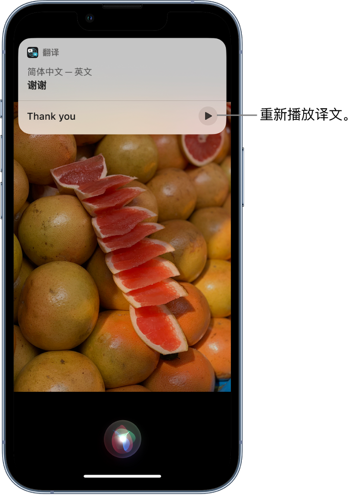 阿拉善左苹果14维修分享 iPhone 14 机型中使用 Siri：了解 Siri 能帮你做什么 