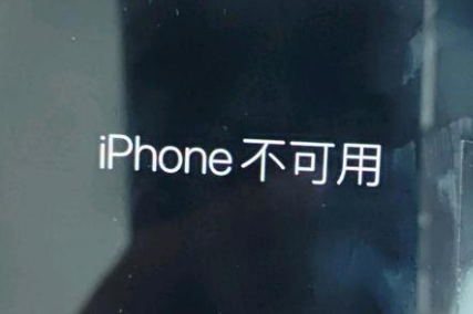 阿拉善左苹果服务网点分享锁屏界面显示“iPhone 不可用”如何解决 