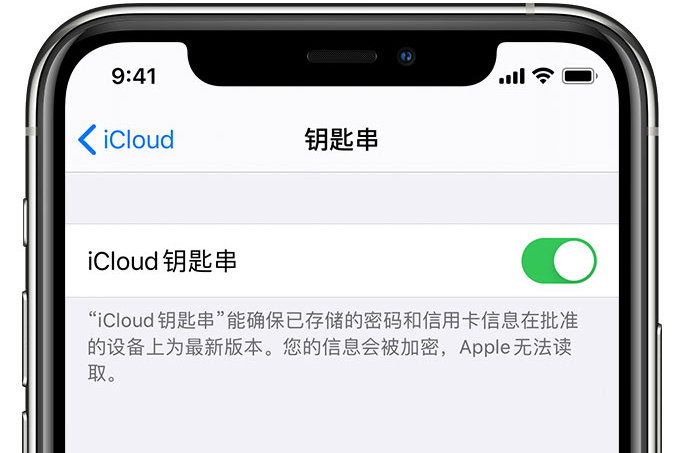 阿拉善左苹果手机维修分享在 iPhone 上开启 iCloud 钥匙串之后会储存哪些信息 